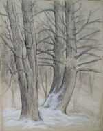 Drawing by Leo Meissner: [Trees in the Snow], represented by Childs Gallery