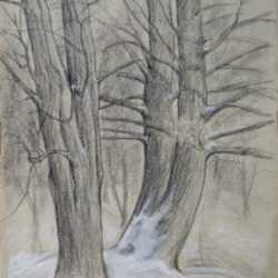 Drawing by Leo Meissner: [Trees in the Snow], represented by Childs Gallery