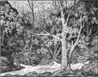 Print by Leo Meissner: Canyon Creek, represented by Childs Gallery