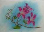 Drawing by Leo Meissner: Hong Kong Orchids, Anna Maria [Florida], represented by Childs Gallery