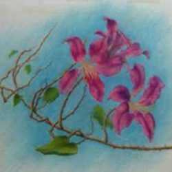 Drawing by Leo Meissner: Hong Kong Orchids, Anna Maria [Florida], represented by Childs Gallery