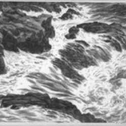 Print by Leo Meissner: Kelp Wash, represented by Childs Gallery