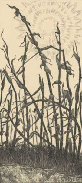 Print by Leo Meissner: Last Year's Corn [Asheville, North Carolina], represented by Childs Gallery