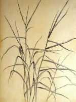 Drawing by Leo Meissner: Wild Grasses, represented by Childs Gallery