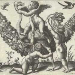 Print by Master of the Die: Three Putti Playing with an Ostrich,  from a set of four tap, represented by Childs Gallery