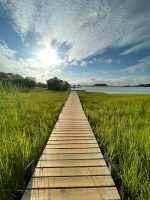 Photograph by Max Stern: Farm Pond, available at Childs Gallery, Boston