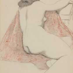 Drawing By Milton Avery: Nude With Red Drape At Childs Gallery