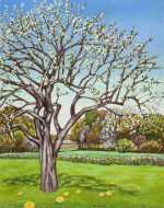 Painting By Molly Luce: Apple Tree At Childs Gallery