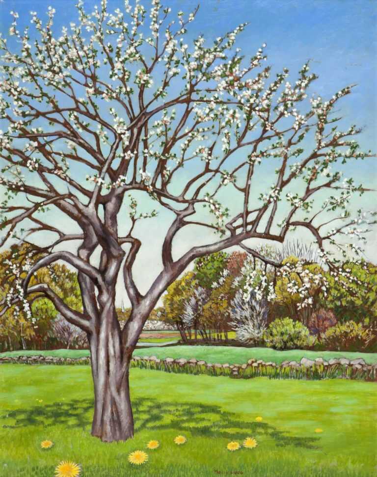 Painting By Molly Luce: Apple Tree At Childs Gallery