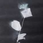 Photograph by Nancy Jo Haselbacher: Land Traces: Frost Series, Finland No. 7, available at Childs Gallery, Boston