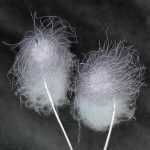 Photograph by Nancy Jo Haselbacher: Land Traces: Frost Series, Finland No. 8, available at Childs Gallery, Boston