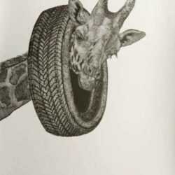 Print by Osmeivy Ortega Pacheco: [Giraffe with Tire], represented by Childs Gallery