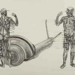 Print by Osmeivy Ortega Pacheco: Muscelos del cuerpo [The muscles of the body], represented by Childs Gallery