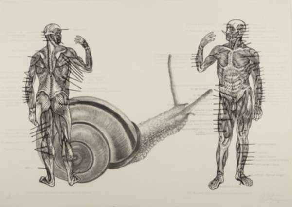 Print by Osmeivy Ortega Pacheco: Muscelos del cuerpo [The muscles of the body], represented by Childs Gallery