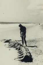 Photograph by PaJaMa (Paul Cadmus, Jared French, Margaret French): Jared French, available at Childs Gallery, Boston