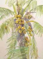 Watercolor by Paul Parker: Key West, Florida, represented by Childs Gallery
