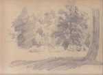 Drawing by Peter Moran: [Tree Study], represented by Childs Gallery