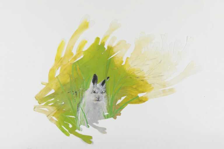 Painting by Resa Blatman: Arctic Hare, available at Childs Gallery, Boston
