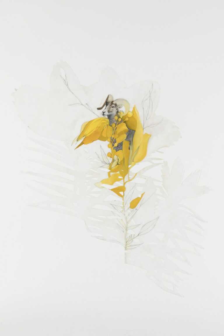 Painting by Resa Blatman: Bighorn amid the Kelp, available at Childs Gallery, Boston