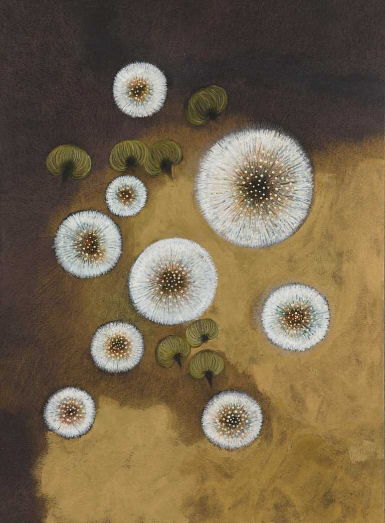 Mixed Media by Resa Blatman: Dandelion Drawing #11, available at Childs Gallery, Boston