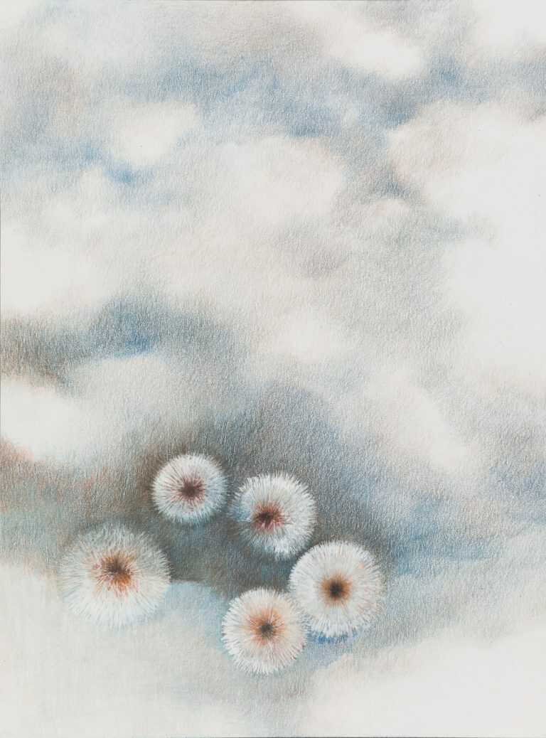 Mixed Media by Resa Blatman: Dandelion Drawing #15, available at Childs Gallery, Boston