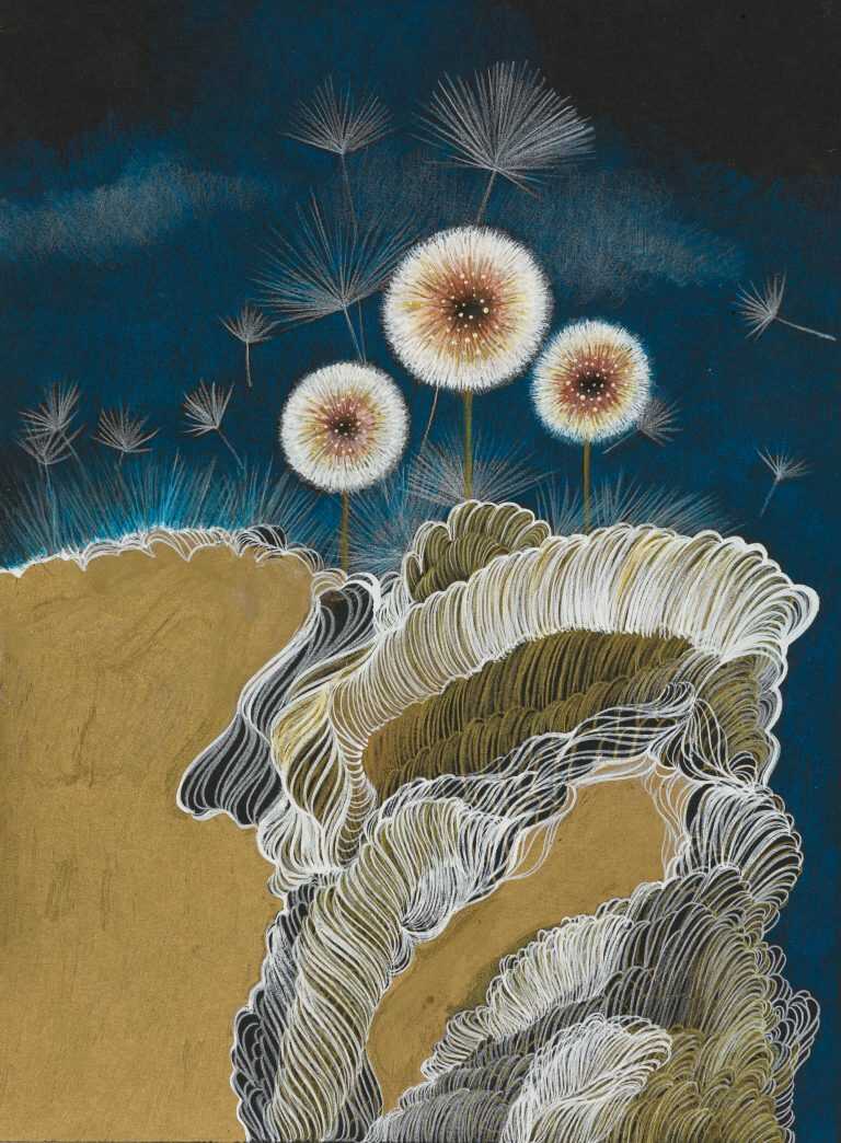Drawing by Resa Blatman: Dandelion Drawing #21, available at Childs Gallery, Boston