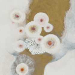 Mixed Media by Resa Blatman: Dandelion Drawing #9, available at Childs Gallery, Boston