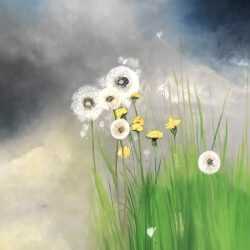 Painting by Resa Blatman: Dandelions with Stormy Skies #2, available at Childs Gallery, Boston