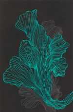 Drawing by Resa Blatman: Small Coral Drawing 10, available at Childs Gallery, Boston