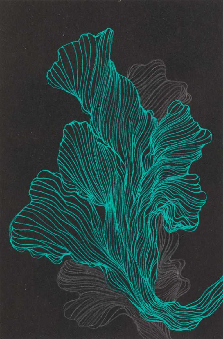 Drawing by Resa Blatman: Small Coral Drawing 10, available at Childs Gallery, Boston