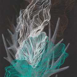 Drawing by Resa Blatman: Small Coral Drawing 11, available at Childs Gallery, Boston