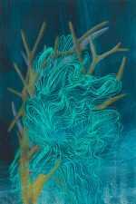 Drawing by Resa Blatman: Small Coral Drawing 22, available at Childs Gallery, Boston