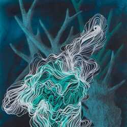 Drawing by Resa Blatman: Small Coral Drawing 24, available at Childs Gallery, Boston