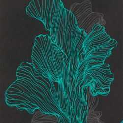 Drawing By Resa Blatman: Small Coral Drawing 10 At Childs Gallery