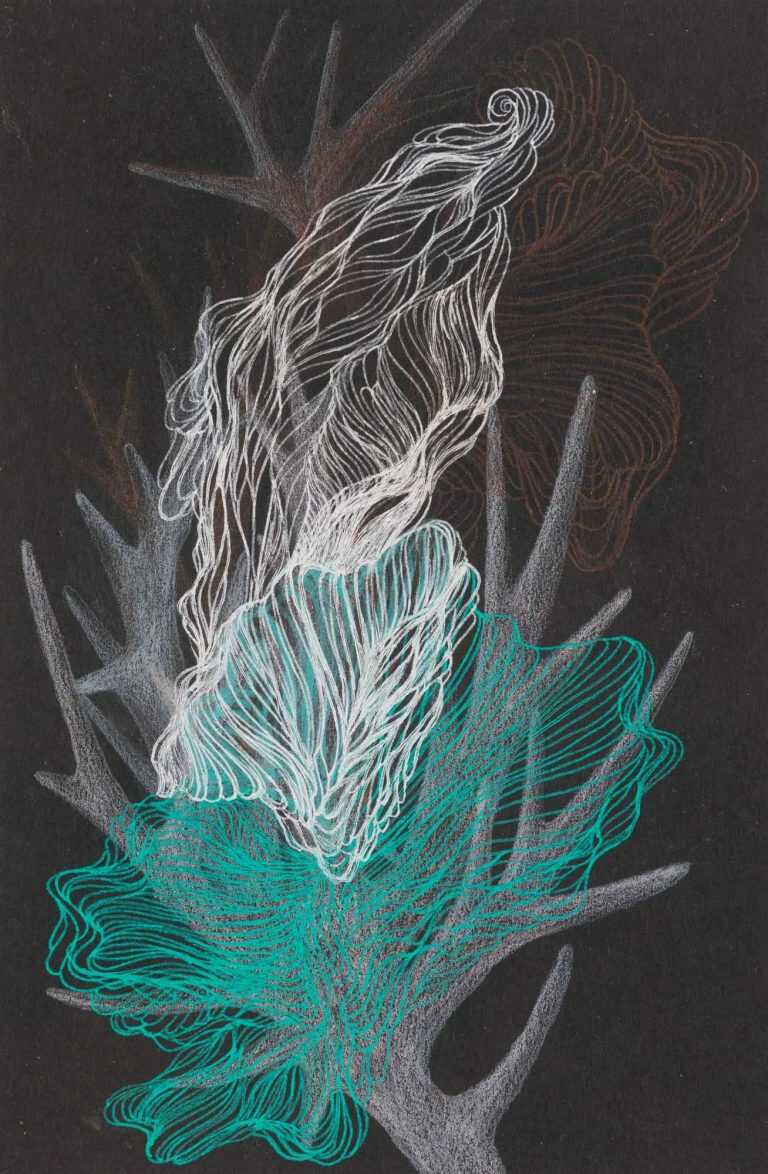 Drawing By Resa Blatman: Small Coral Drawing 11 At Childs Gallery