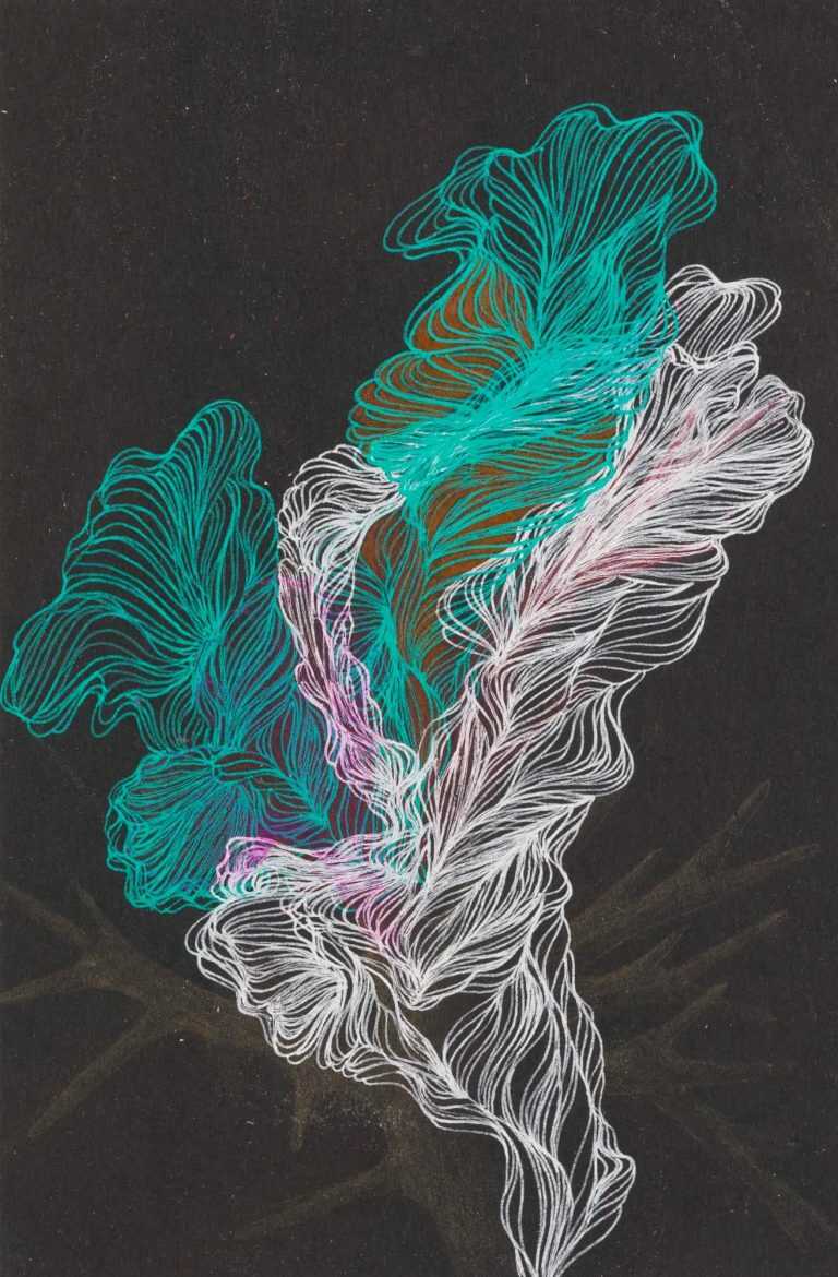 Drawing By Resa Blatman: Small Coral Drawing 14 At Childs Gallery