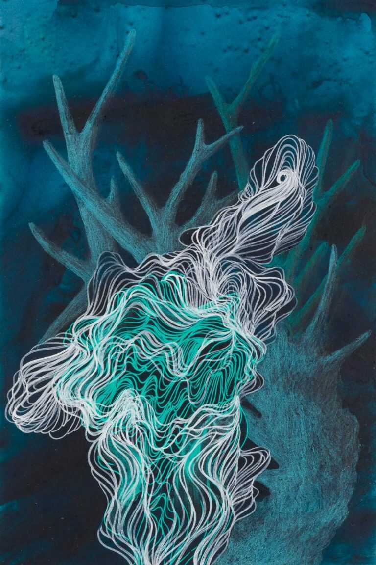 Drawing By Resa Blatman: Small Coral Drawing 24 At Childs Gallery