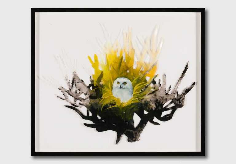 Mixed Media By Resa Blatman: Snowy Owl At Childs Gallery
