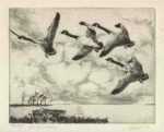 Print by Richard Bishop: Canada Geese, represented by Childs Gallery