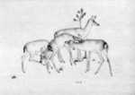 Print by Robert Austin: Deer, represented by Childs Gallery