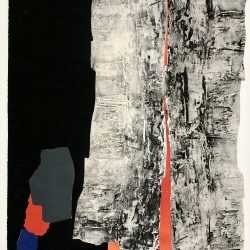 Collage by Ruth Eckstein: Wings of Night, available at Childs Gallery, Boston
