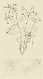 Print By Sara Zielinski: How To Comfort 2 At Childs Gallery