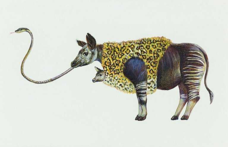 Painting By Sawool Kim: Index 20 Okapi, Lss #1 At Childs Gallery