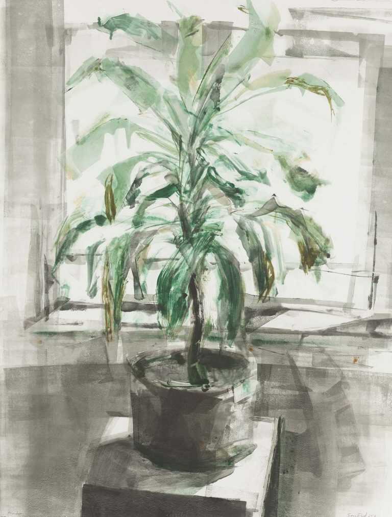 Print By Sean Flood: Corn Plant At Childs Gallery