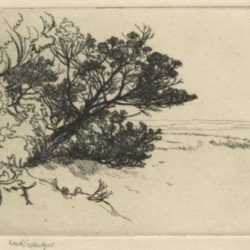 Print by Sears Gallagher: The Lone Cedar, represented by Childs Gallery