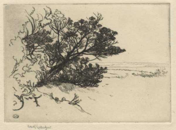 Print by Sears Gallagher: The Lone Cedar, represented by Childs Gallery