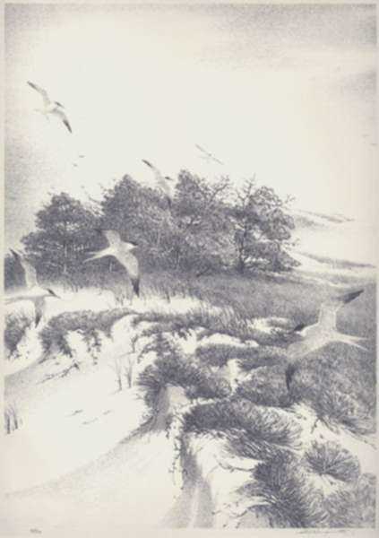 Print by Stow Wengenroth: In from the Sea, Ogunquit, Maine, represented by Childs Gallery