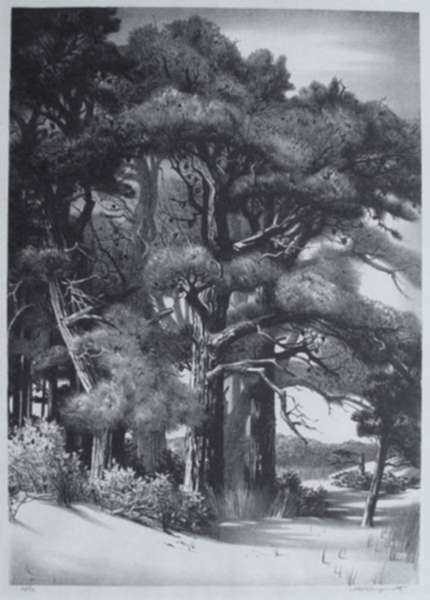 Print by Stow Wengenroth: Quiet Grove [Ognunquit, Maine], represented by Childs Gallery
