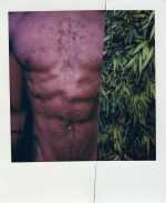 Collage By Stuart Sandford: Polaroid Collage Xl At Childs Gallery