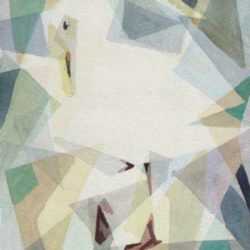 Watercolor by Ted Davis: Careful Gull [Monhegan, Maine], represented by Childs Gallery